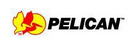 pelican